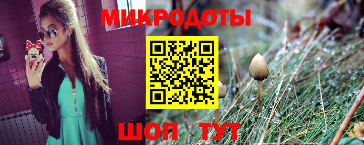 Сорочинск  Псилоцибиновые грибы Cubensis  Галлюциногенные грибы Cubensis  Вход с VPN 